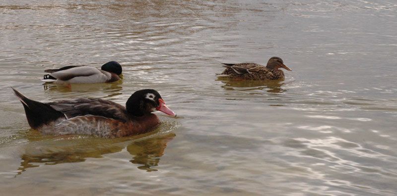 Casa Rural La Ossa Lagunas de Ruidera