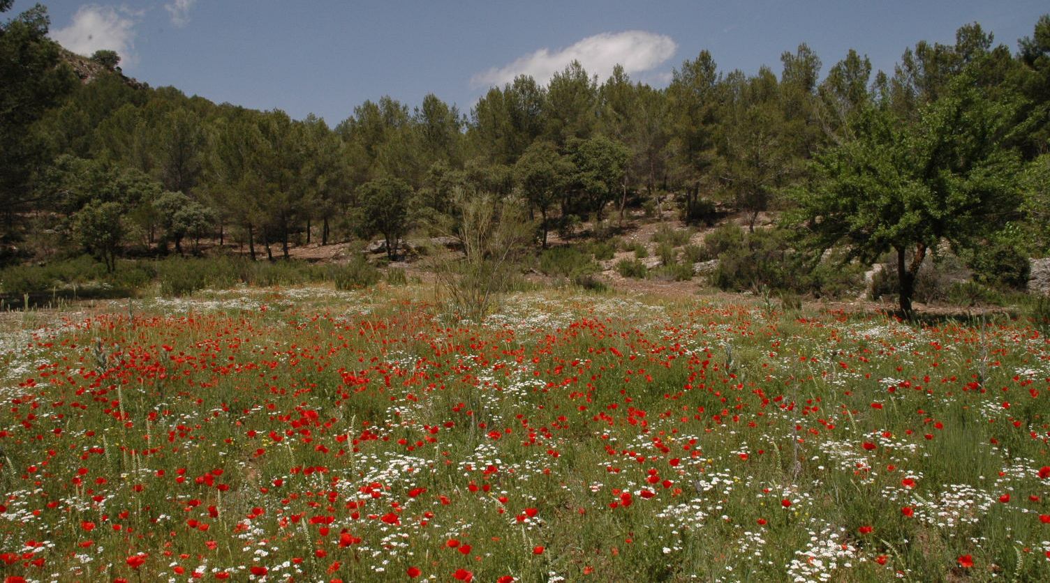 Casa Rural La Ossa Lagunas de Ruidera