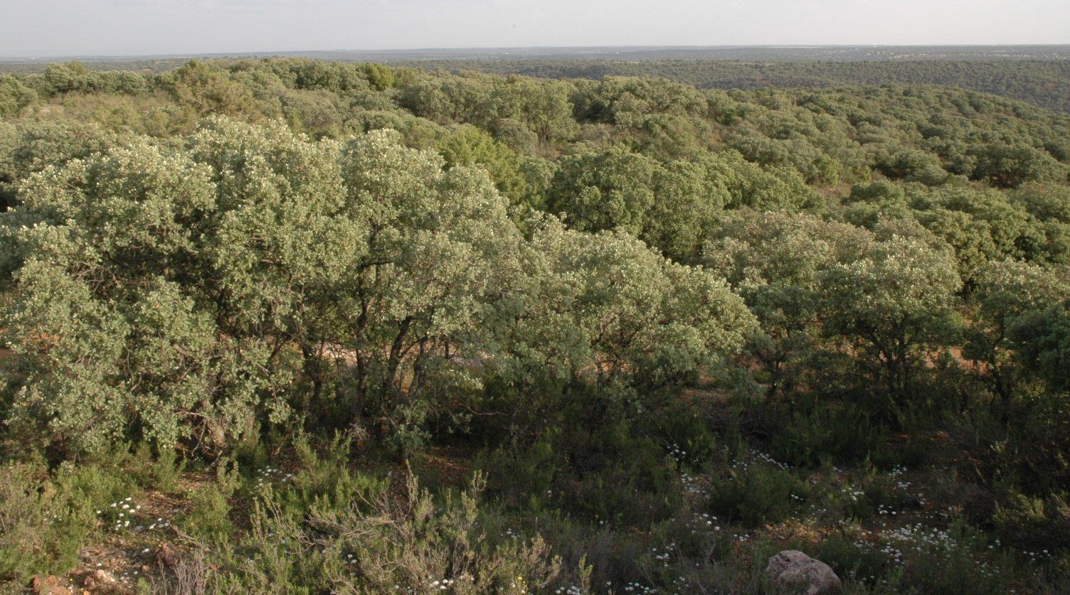 Casa Rural La Ossa Lagunas de Ruidera